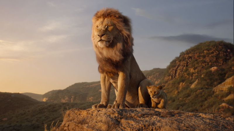 Bild på vuxet lejon med lejonunge på klippa